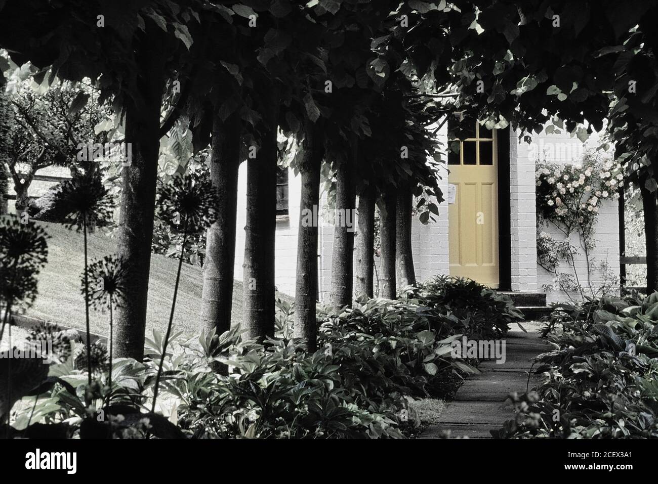 Children's writer Roald Dahl's original writing hut at Gipsy House