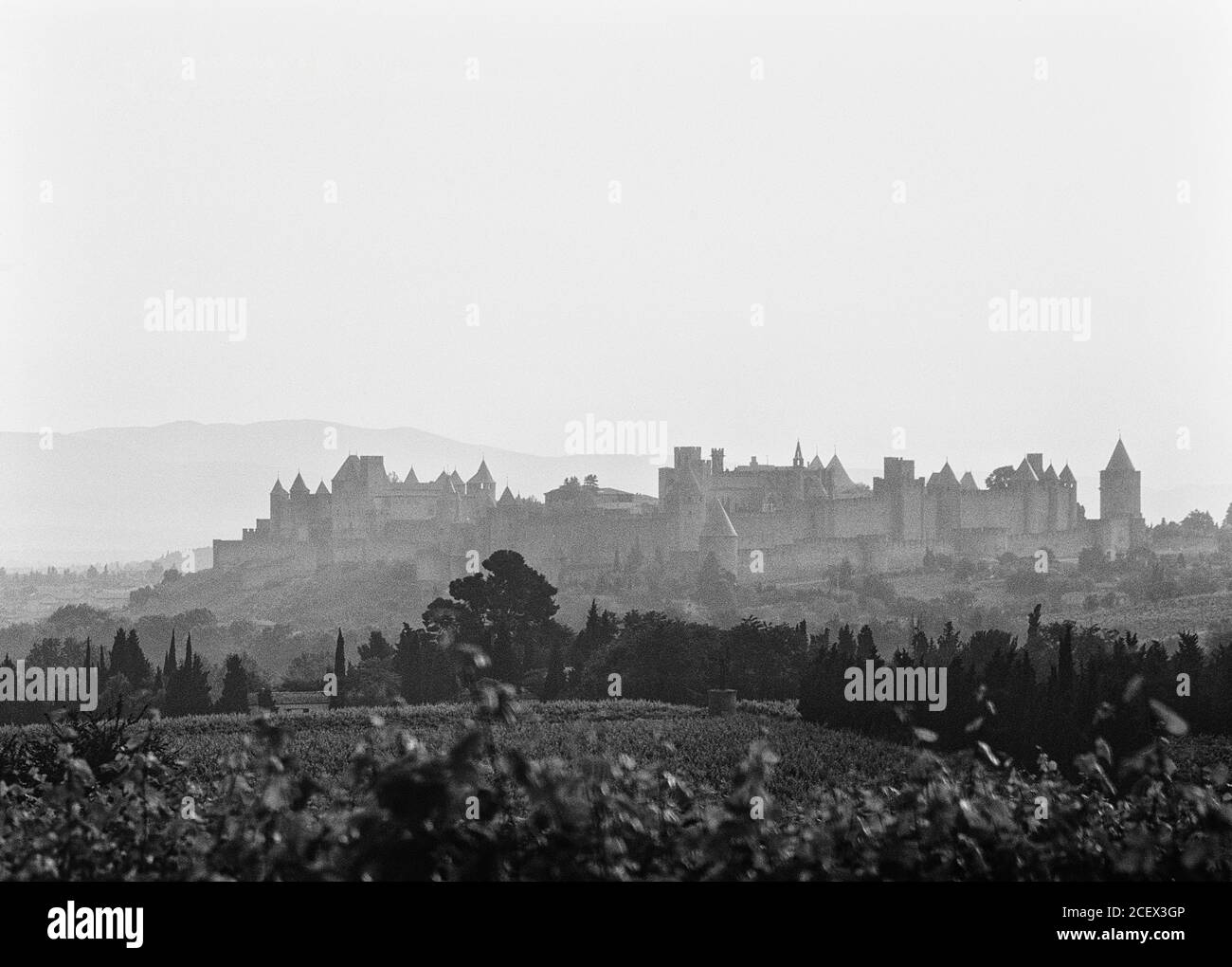The  fortified city of Carcassonne, Languedoc area, France Stock Photo