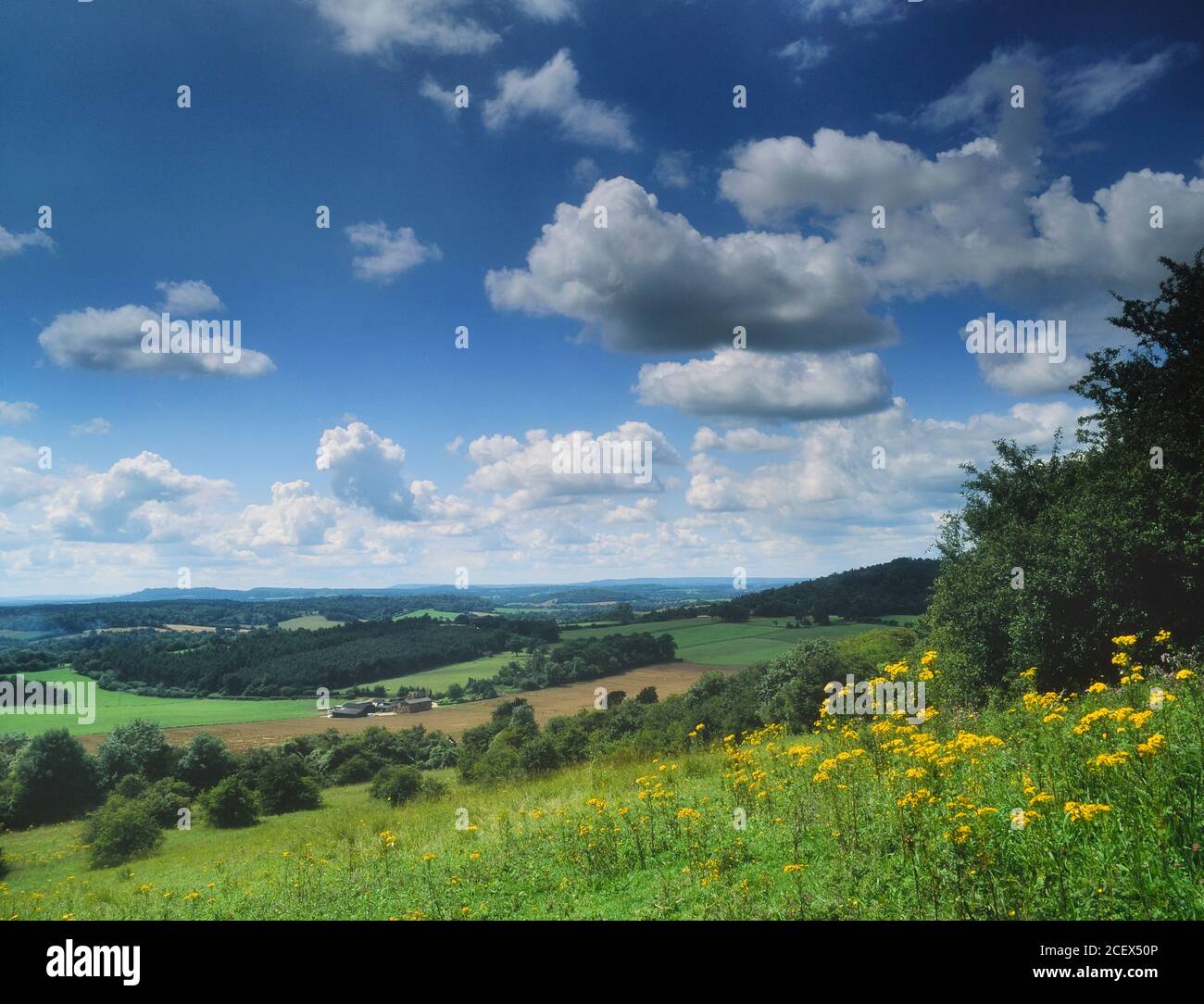 The view form Newlands Corner, Surrey Hills Area of Outstanding Natural Beauty. North Downs, Surrey, England, UK Stock Photo