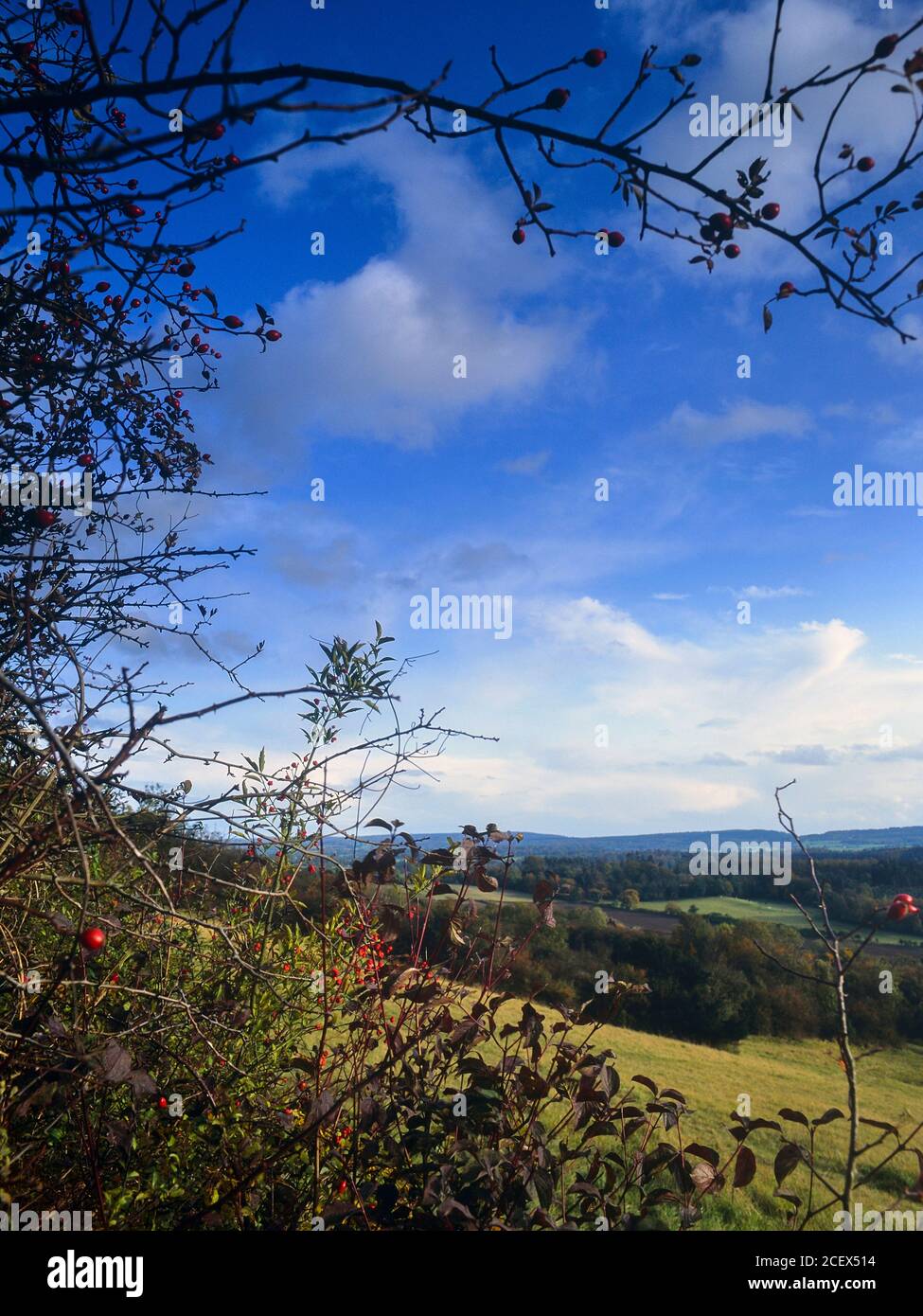 The view from Newlands Corner in the Surrey Hills, Surrey, England UK Stock Photo