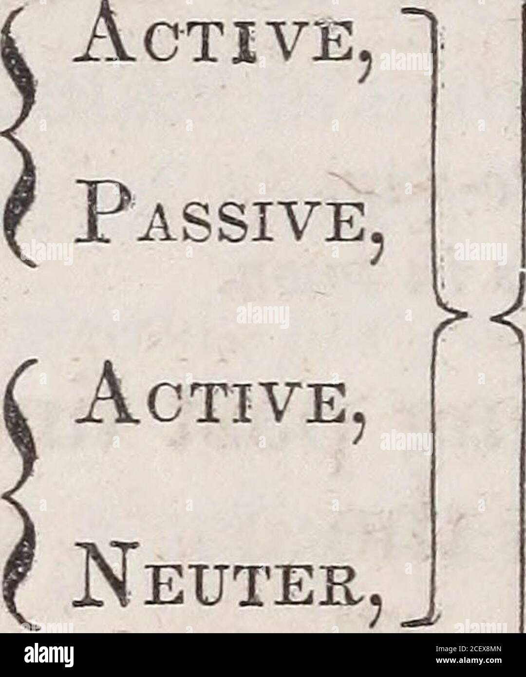 . A practical grammar; in which words, phrases, and sentences are