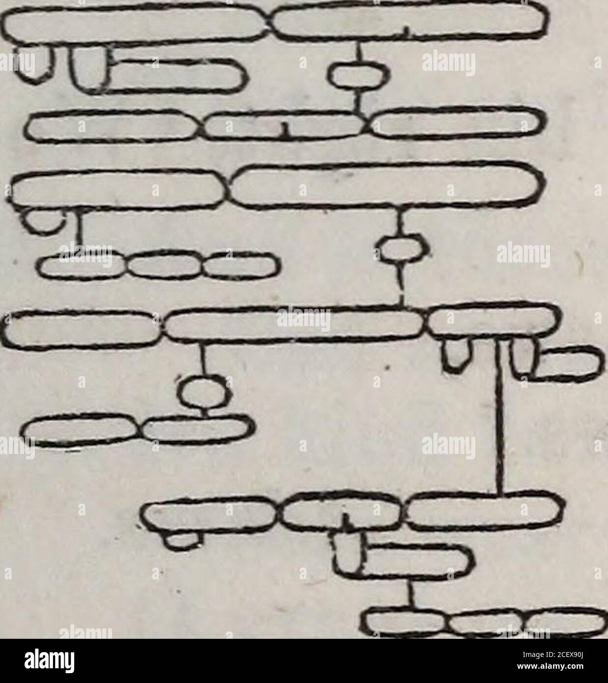 . A practical grammar; in which words, phrases, and sentences are