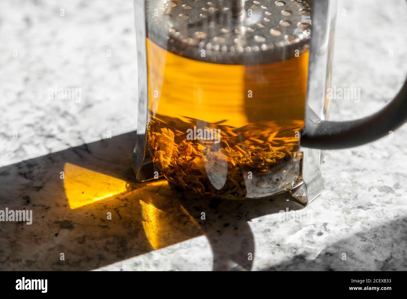 Loose leaf tea steeps in a french press on a white marble countertop