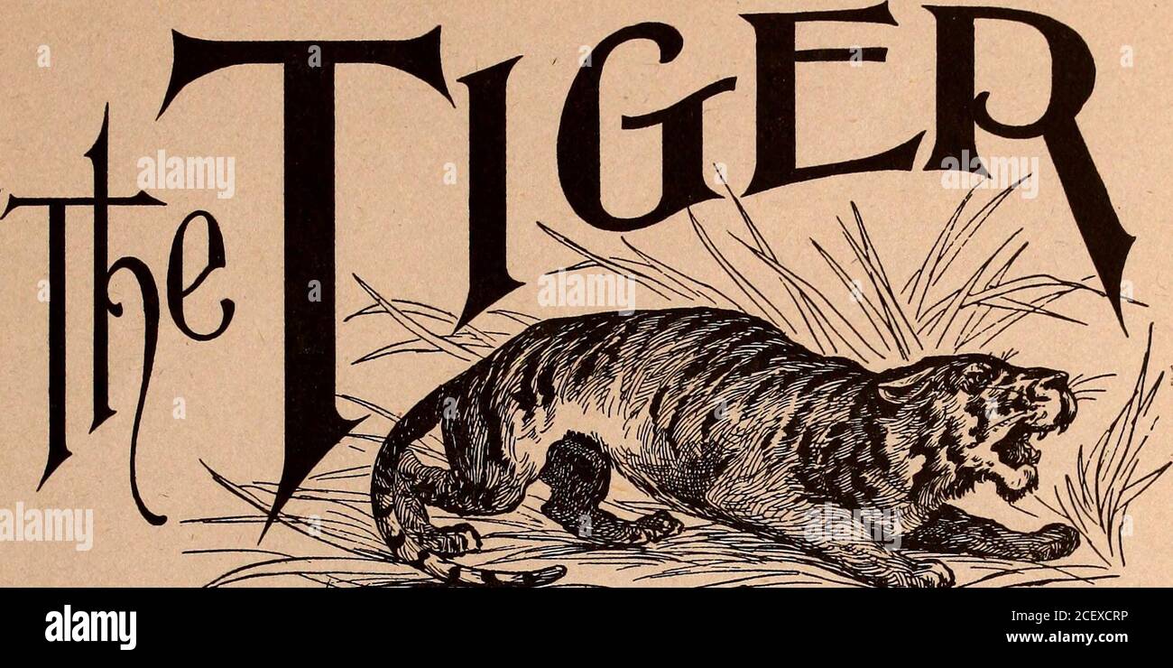 . The Tiger (student newspaper), Sept. 1900-June 1901. 24-26 East Bijou Street. Headquarters for Colorado People Newly Carpeted, Decorated andRenovated American Plan, $2.00 to $3.00 per day fI% %%%%%%%%$% I Finest Turkish Baths in the Cityf STEVENS FOTOGRAFBRIE. (^?.(*»5**.&lt;*^5**.&lt;.tS5*59.&lt;*j%»^.&lt;»^. J. a. WIGGIN, Manager I »^&5v &lt;4^.&lt;*^f4^f4^&lt;*^*^S4^S4^*&4^&&.. Vfilorado (ol lerie May Fifteenth Volume III. Number 32 YOUNGS MENS STORE, If you are in need of a Suit, Overcoat, Shirt, Hat, Neckwear, or anyother article of Wearing Apparel, you will find our stock up-to-date, a Stock Photo