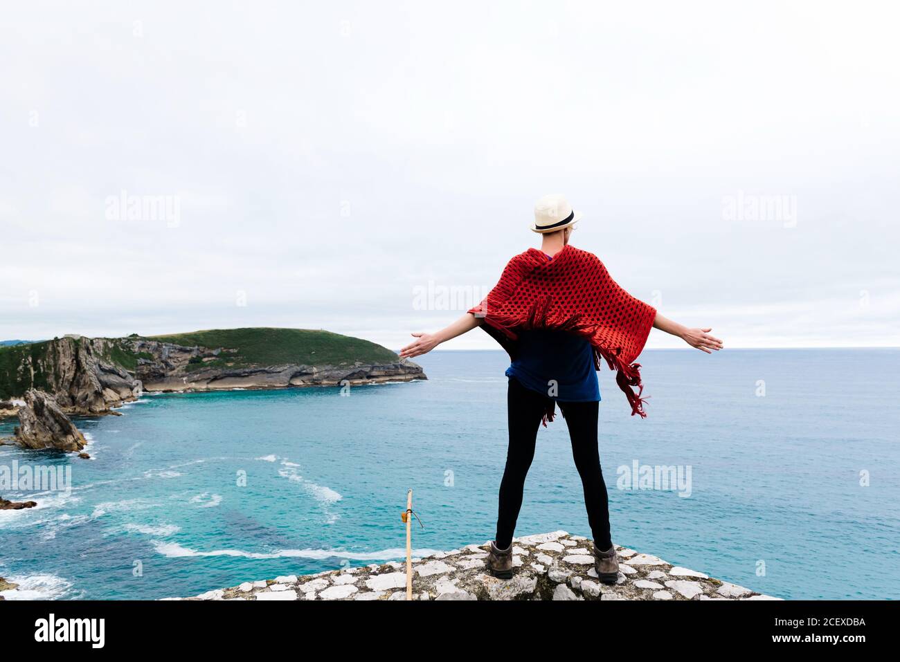 Background of multicolored fallen leaves Stock Photo