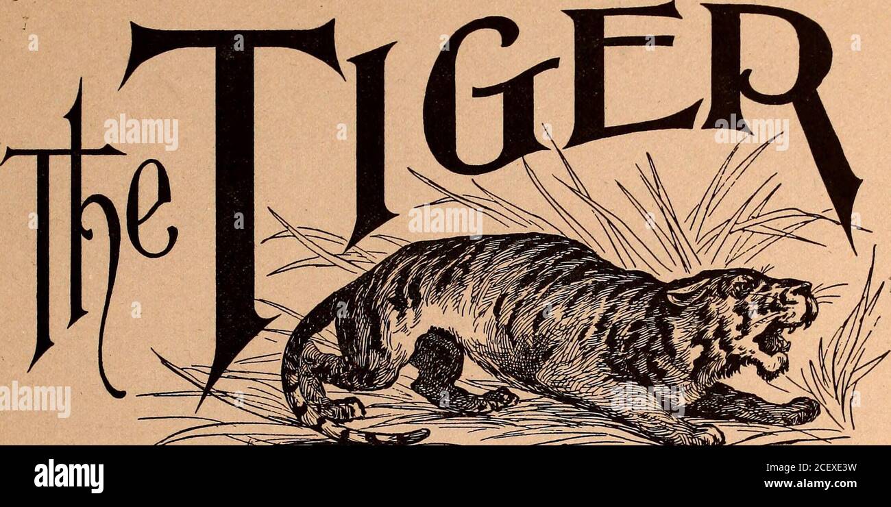 . The Tiger (student newspaper), Sept. 1900-June 1901. 24-26 East Bijou Street. STEVENS FOTOGRAFERIE. fiII$! J I I Finest Turkish Baths in the City| i * I J. R. WIGGIN, Manager J i Headquarters for Colorado People Newly Carpeted, Decorated andRenovated American Plan, $2.00 to $3.00 per day **•**»*»*»* l*^*^.1*^.1*^*^*^ J*^.*^. i *.;#^.*^.*^&lt;*;^&lt;*^.|*^.&lt;*J^ K&lt;*^.&lt;*^f*^f4^-S0^.. Colorado (ollede May Eighth Volume III. Number 31 YOUNGS MENS STORE, If you are in need of a Suit, Overcoat, Shirt, Hat, Neckwear, or anyother article of Wearing Apparel, you will find our stock up-to-date Stock Photo
