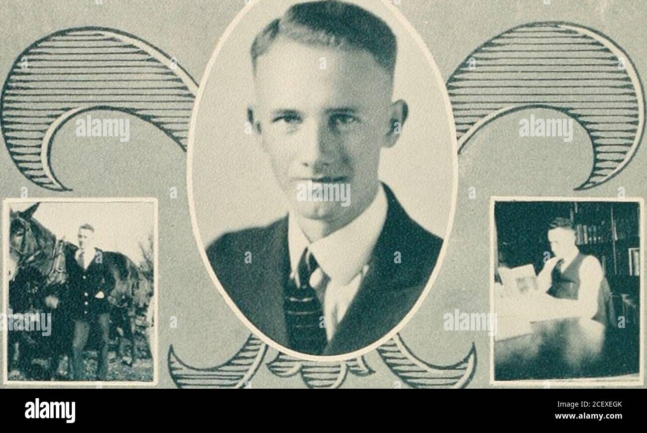 courteous love high resolution stock photography and images alamy alamy