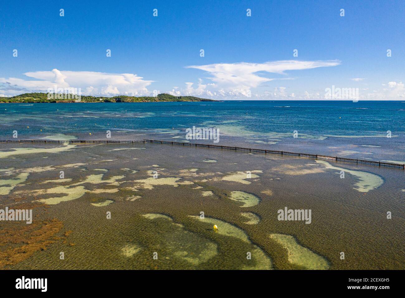 Caribbean beaches are in decline because of Sargassum algae. Fences are installed in the seaThis