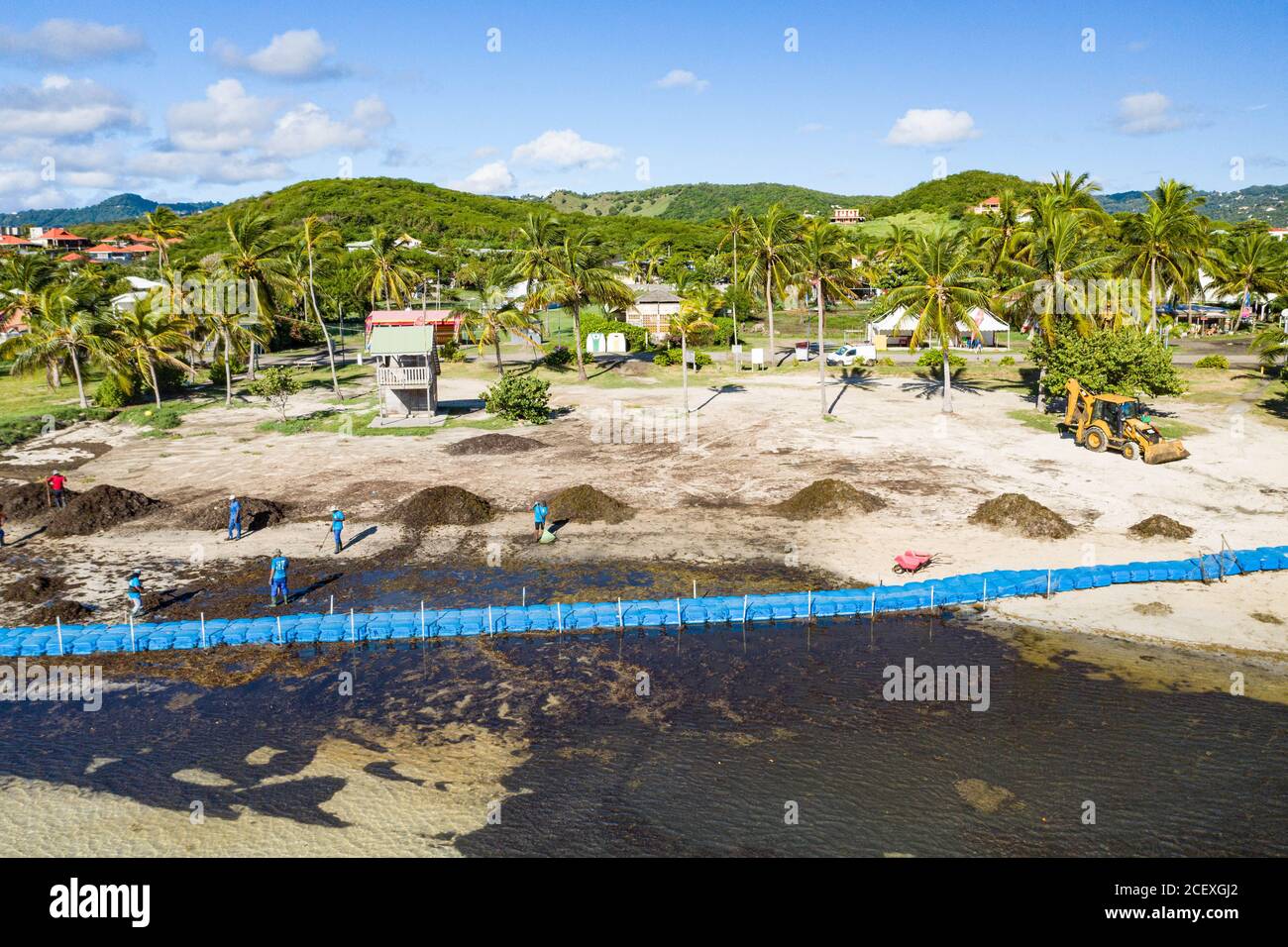 Caribbean beaches are in decline because of Sargassum algae. Fences are installed in the seaThis