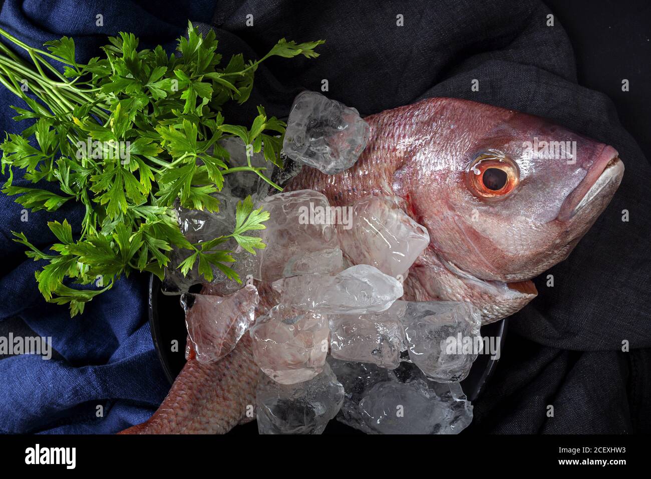 Top view of raw Pagrus major fish arranged with ice cubes and bunch of parsley on table in restaurant Stock Photo