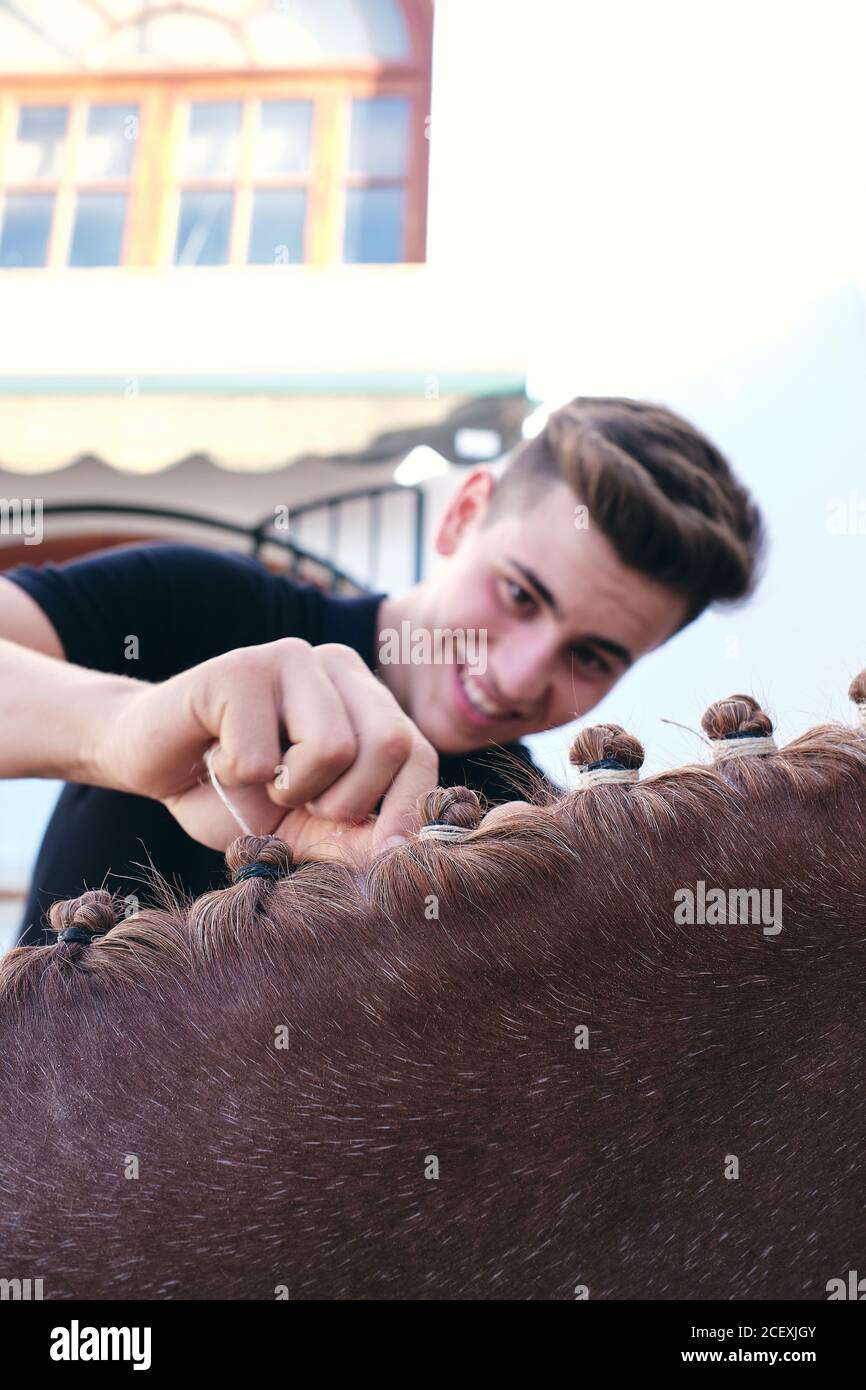 Young male jockey making braids on mane of chestnut horse while standing on ranch in summer Stock Photo