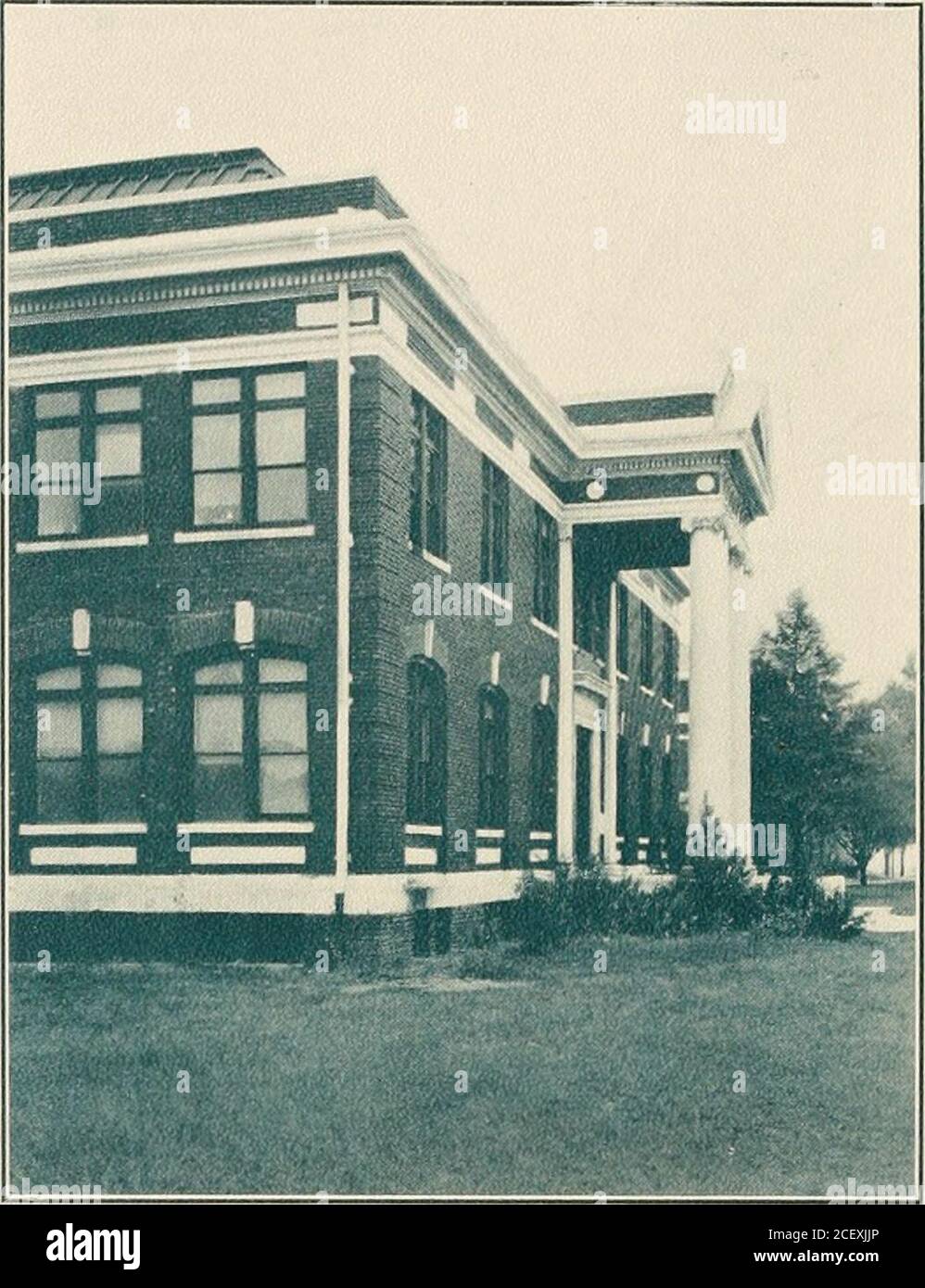 pearl hen high resolution stock photography and images alamy alamy