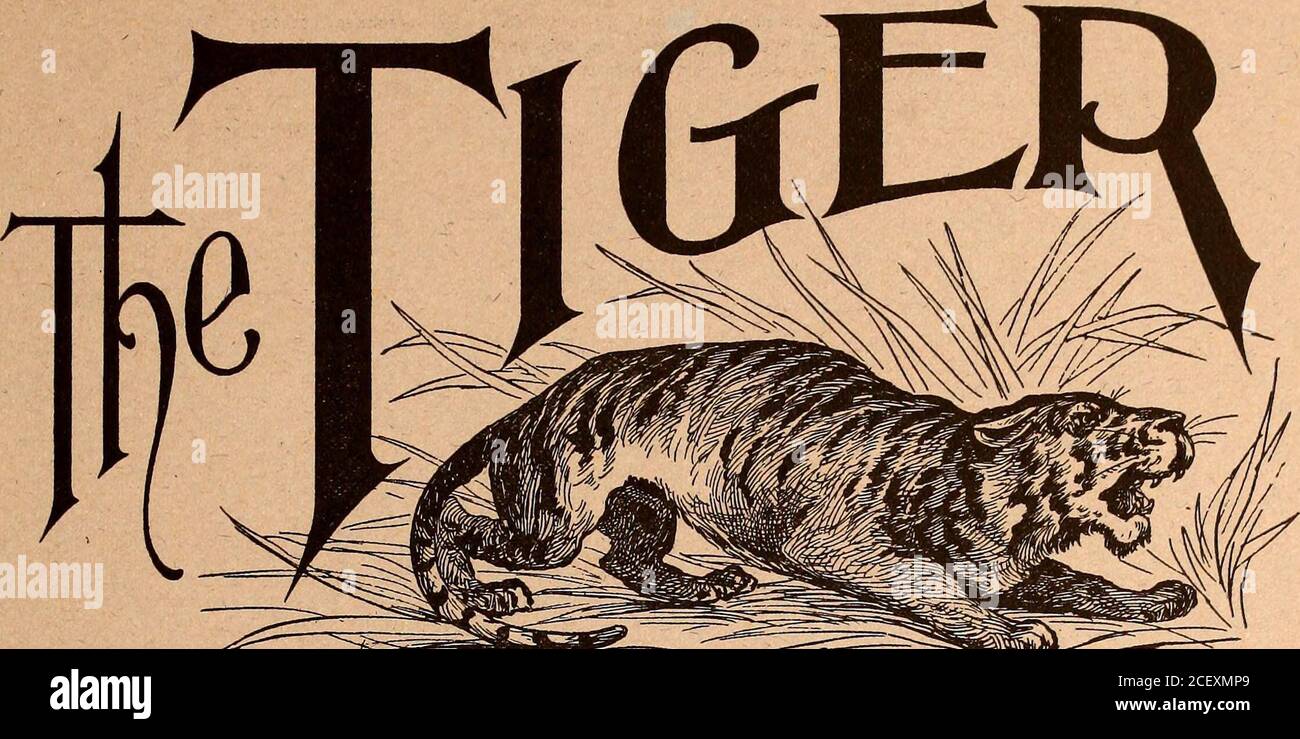 . The Tiger (student newspaper), Sept. 1900-June 1901. I ! DENVER, eOLO. ^T»^T&gt;&^^^ ^^^^^^ 1 Newly Carpeted, Decorated andRenovated I Headquarters for Colorado People % % % % %% American Plan, $2.00 to $3.00 per day J % ™B^^^^»^^ ^^^^^^ Finest Turkish Baths in the City! % J. A. WIGGIN, Manager KW7$!*^.&lt;4^&lt;*^!*^!*^!*^S4^f4^*^.&lt;4^.&lt;^. Vfilorado (ol lede February Twenty-Seventh Volume III. Number 22 YOXJIsra MENS STORE, !f you are in need of a Suit, Overcoat, Shirt, Hat, Neckwear, or anyother article of Wearing Apparel, you will find our stock up-to-date, andthat your money will go Stock Photo