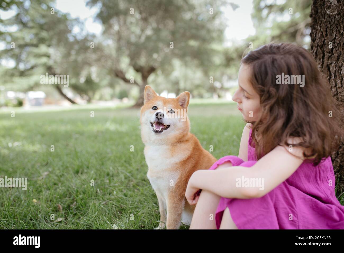 Little Girl In Summer Dress Embracing And Kissing Cute Shiba Inu Dog While Sitting Together On Green Lawn Near Tree In Summer Park Stock Photo Alamy