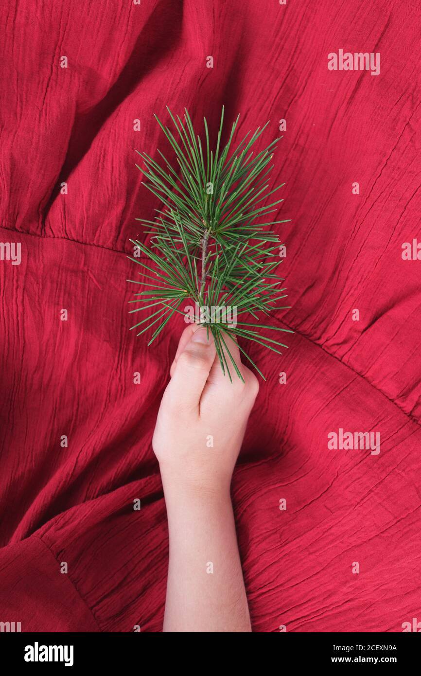 From above of crop anonymous girl in red summer dress holding green ...