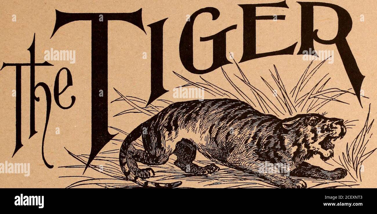 . The Tiger (student newspaper), Sept. 1900-June 1901. 24-26 East Bijou Street. STEVENS FOTOGRAFERIE. Newly Carpeted, Decorated andRenovated American Plan, $2.00 to $3.00 per day f % I Finest Turkish Baths in the City! If J. A. WIGGIN, Manager &lt;4^f4^&^f*^V^S»^S4^S*^;+^!4^&lt;4^.*^ m. Colorado (olletie February Twentieth VOL. III. NO. 21 YOTJNQ MENS STORE, ? * * m^^* STORE AROUND FIRST NATIONAL BANK. If you are in need of a Suit, Overcoat, Shirt, Hat, Neckwear, or anyother article of Wearing Apparel, you will find our stock up-to-date, andthat your money will go es far with us as anyone. HOL Stock Photo