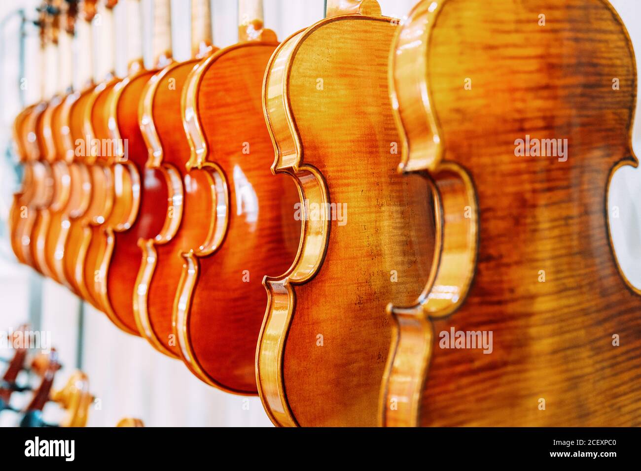 Contemporary shiny violins hanging on wall in row in bright musical