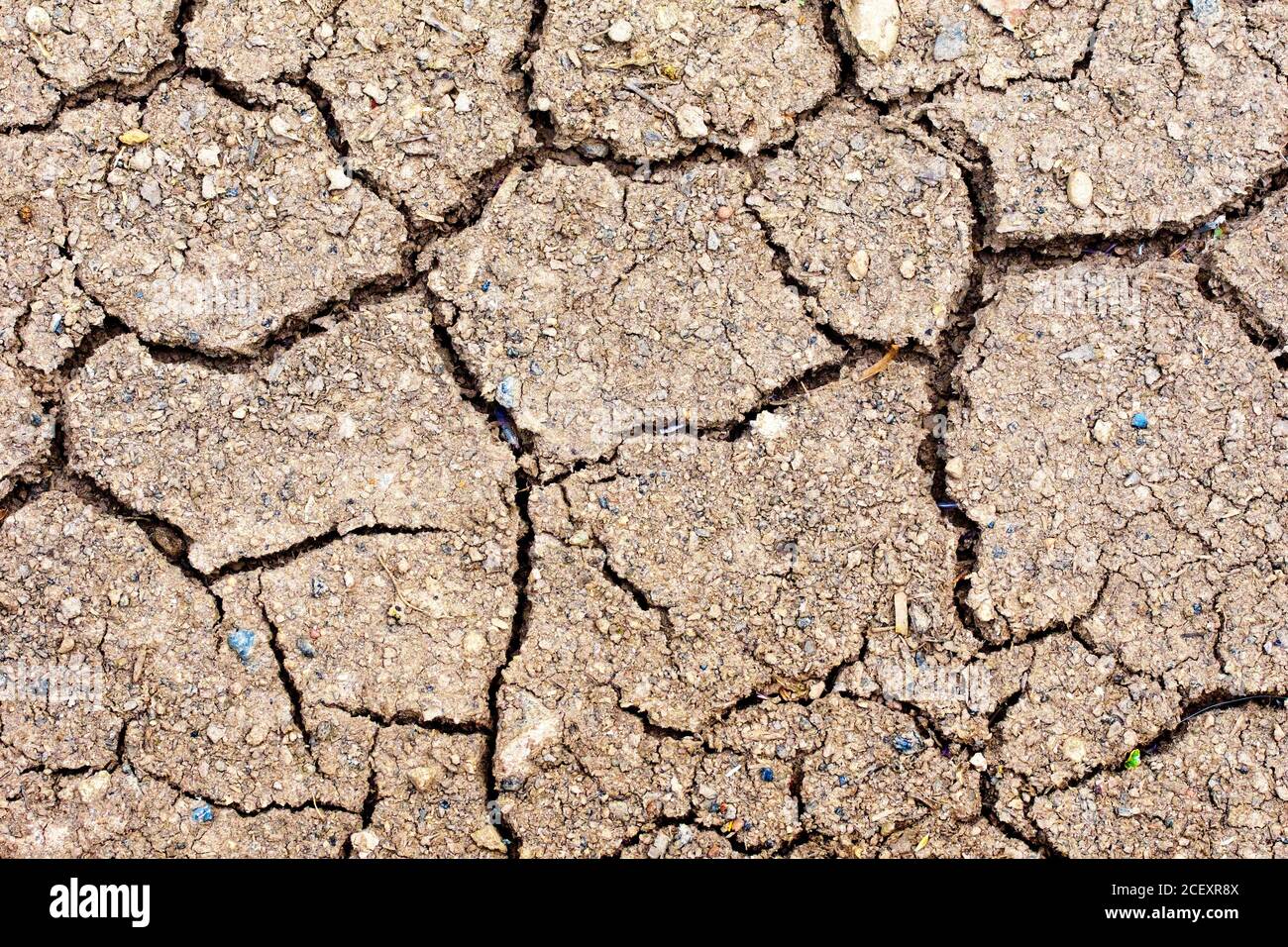 A close up abstract image of a patch of dried, cracked earth or dirt, brought on by a long period of hot weather and a lack of rain. Stock Photo