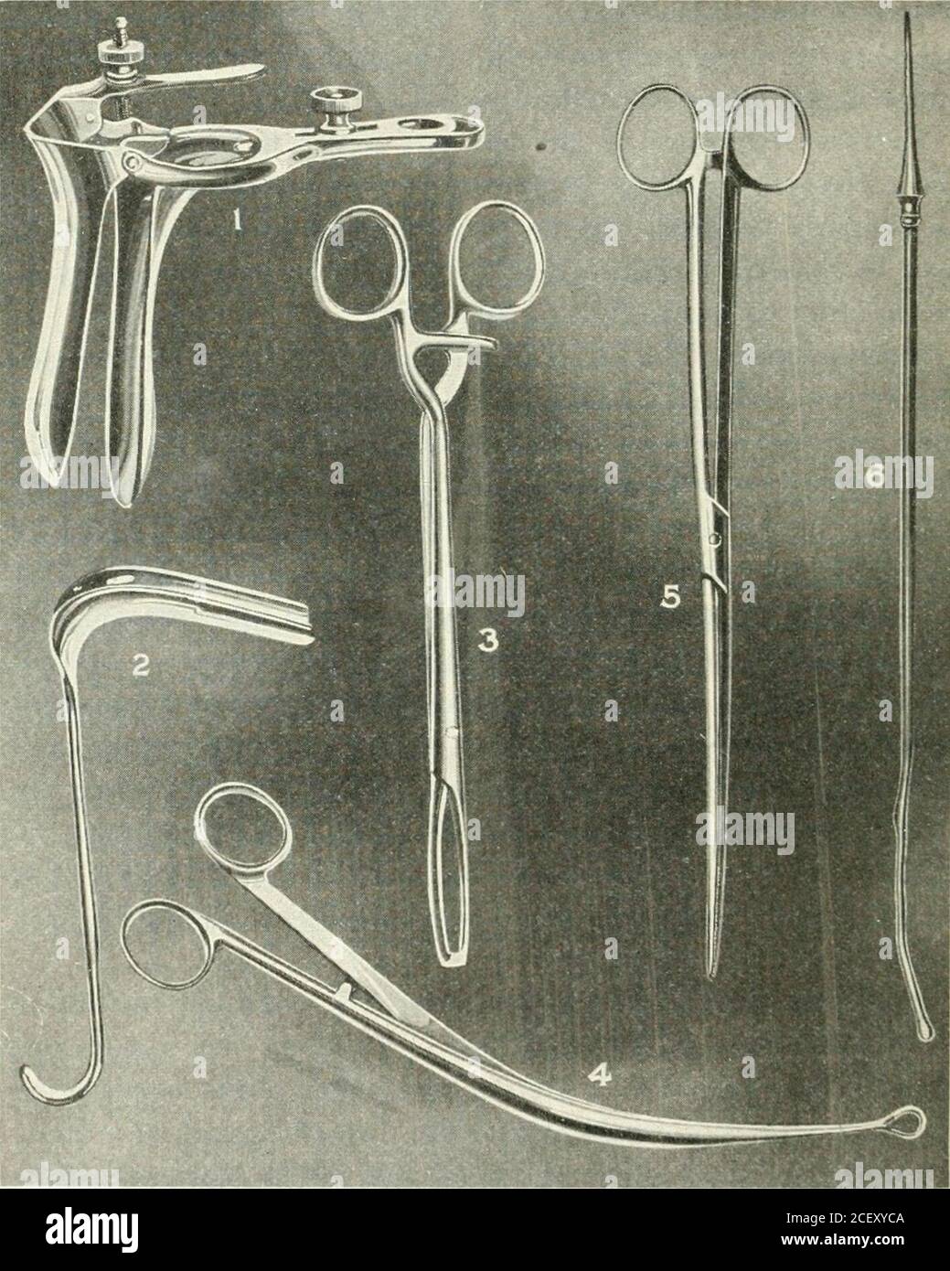 . A manual of gynæcology and pelvic surgery, for students and practitioners. speculum of the