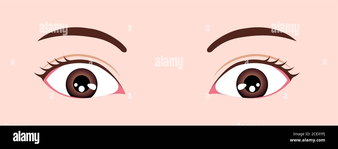 Eye shapes ( eyeball size and position ) vector illustration Stock Vector