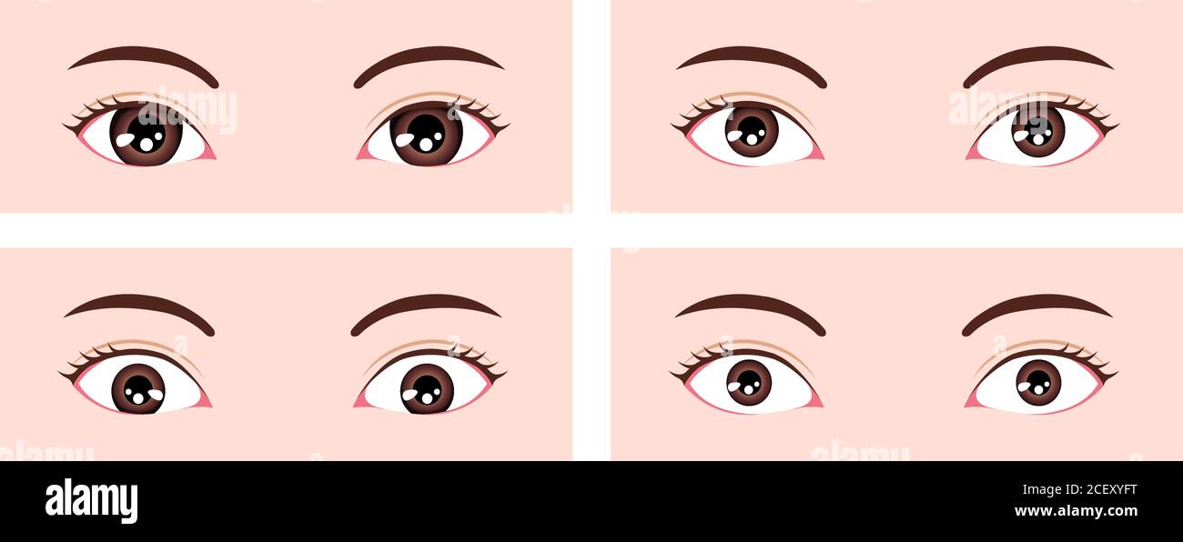 Various eye shapes (different eyeball size and position ) vector illustration ( Classifications in Asia ) Stock Vector
