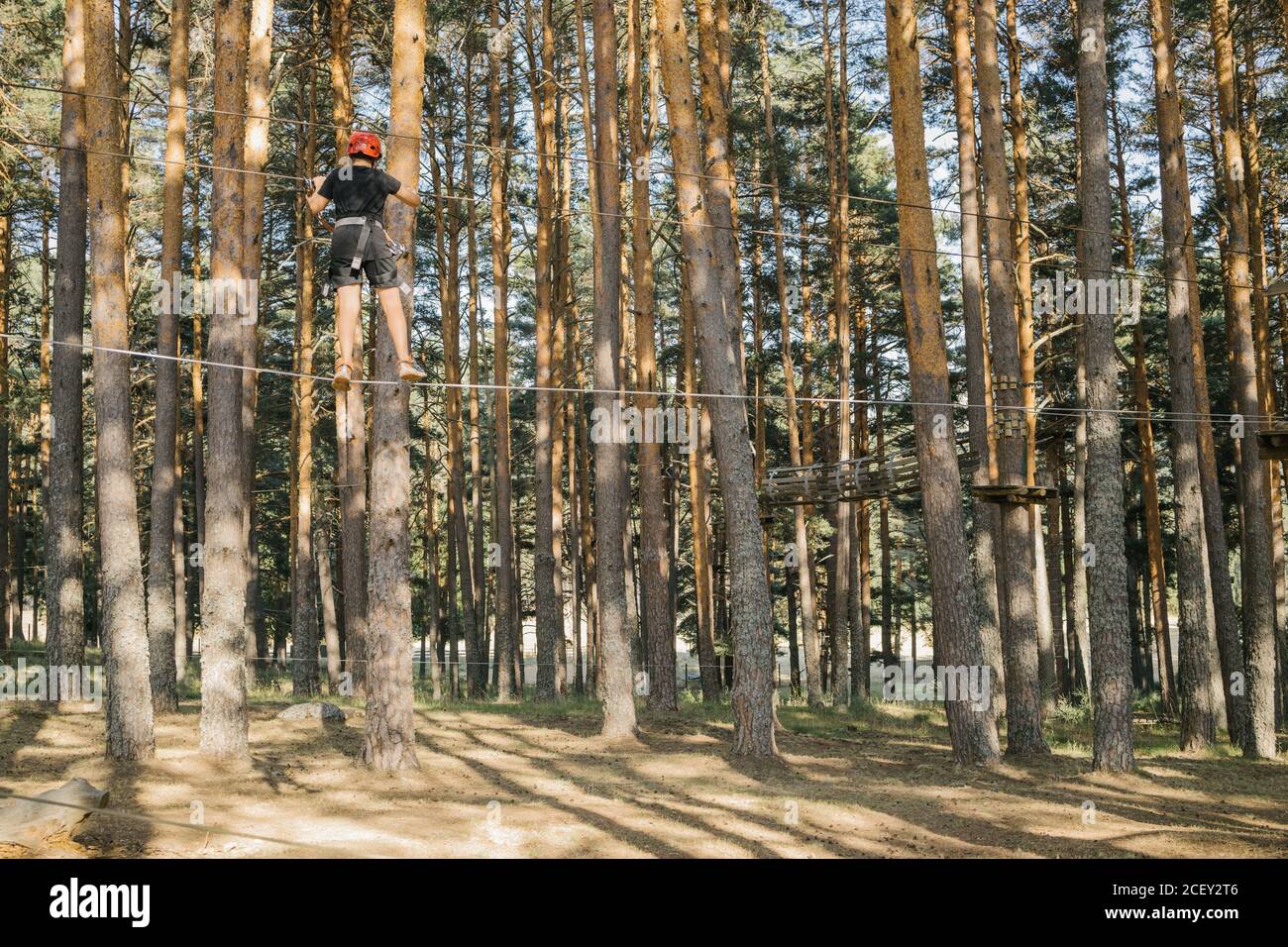 Kid in safety equipment standing on wooden platform on tree and entertaining in adventure park in forest Stock Photo