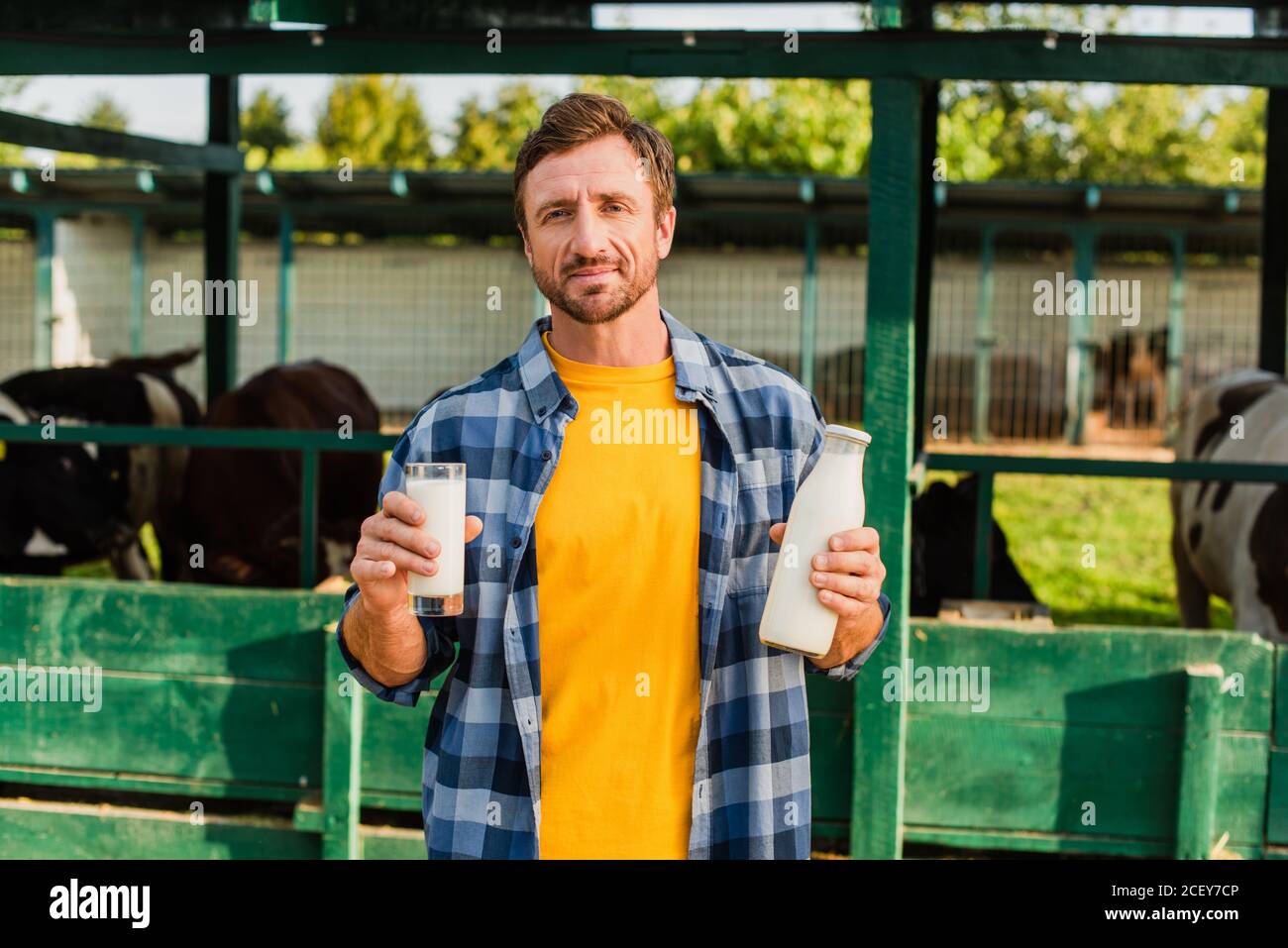 rancher in plaid shirt looking at camera while holding bottle and glass of fresh milk on farm Stock Photo