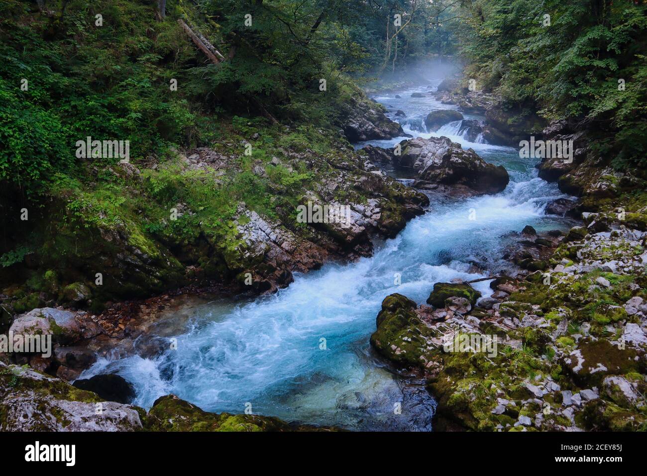 Beautiful stream flowing between rocks in Vintgar Gorge, Slovenia Stock Photo