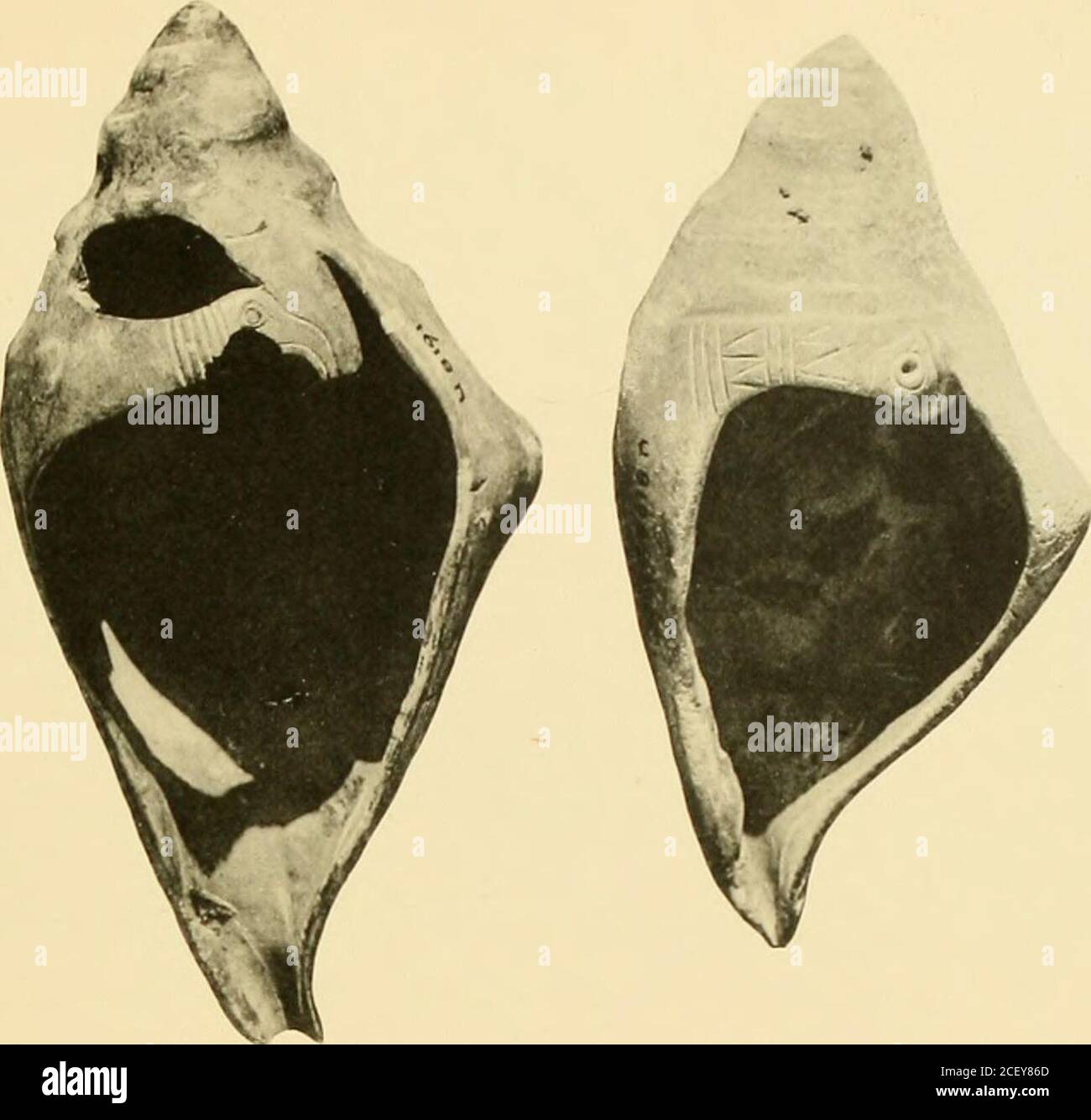 Ur Excavations Scale E J U 15 B U 15 A U I1862 Engravings On Shell
