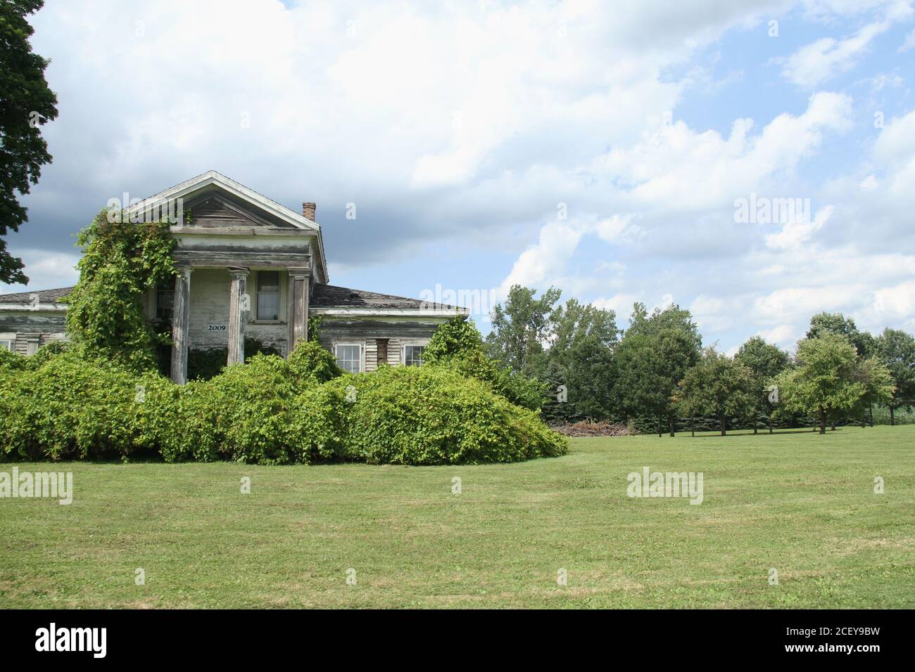 Abandoned large house covered in vines Stock Photo - Alamy