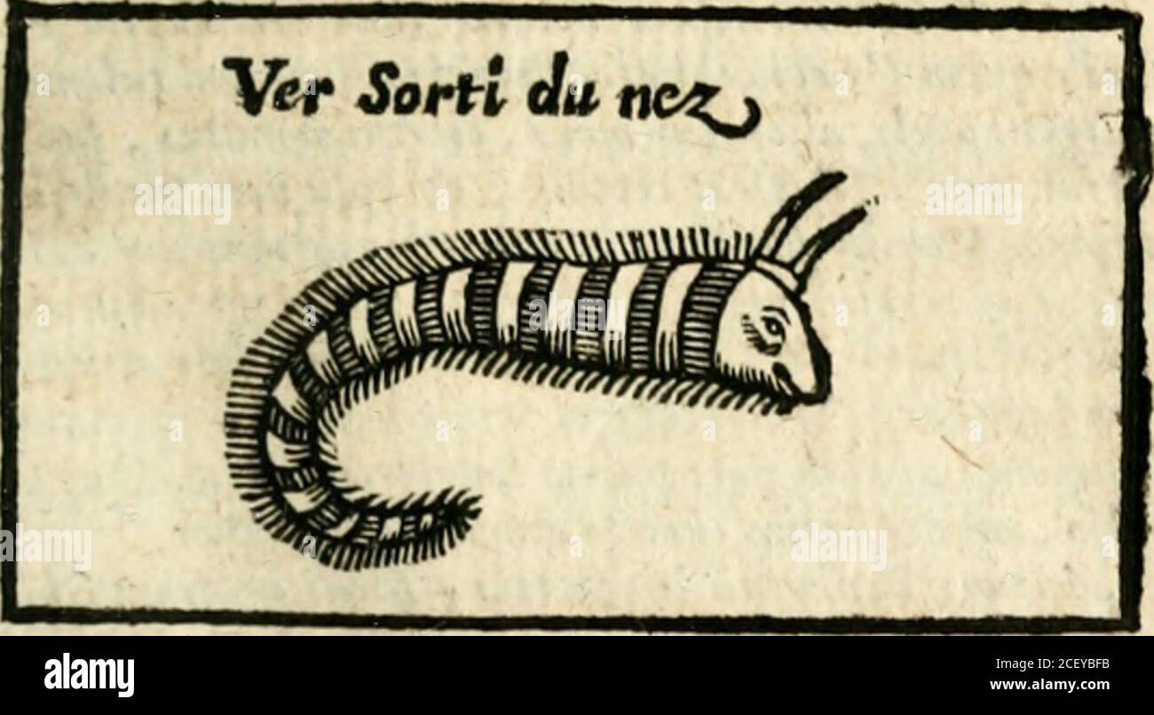 Page 2 - Booksubjectparasites High Resolution Stock Photography 