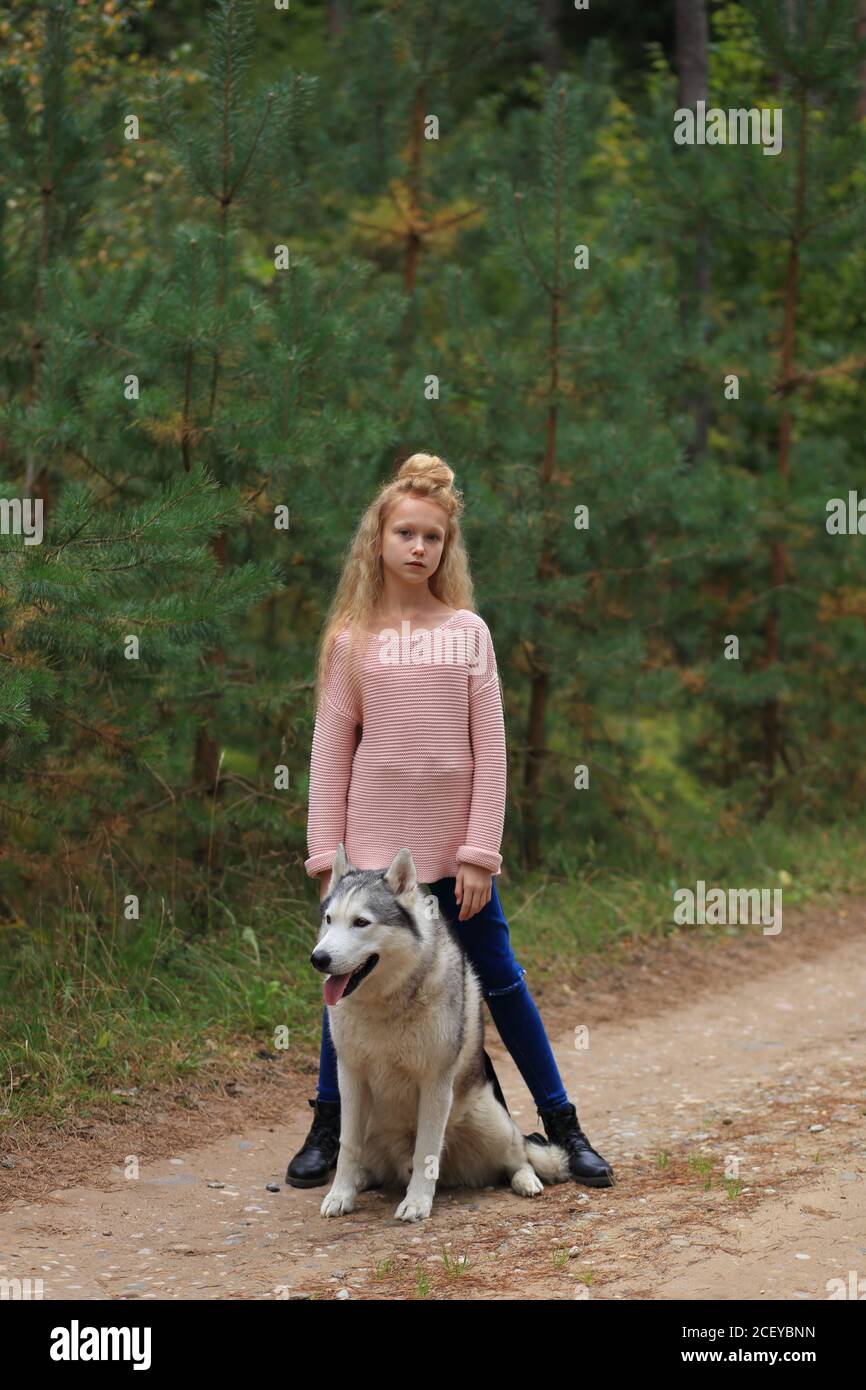 A girl with a husky walks in the forest. Stock Photo