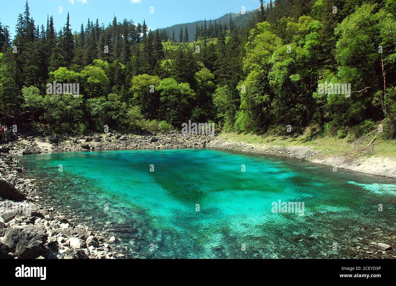 Juizhaigou (Nine Villages Valley) in Sichuan, China. View of Five Color Pond. Stock Photo