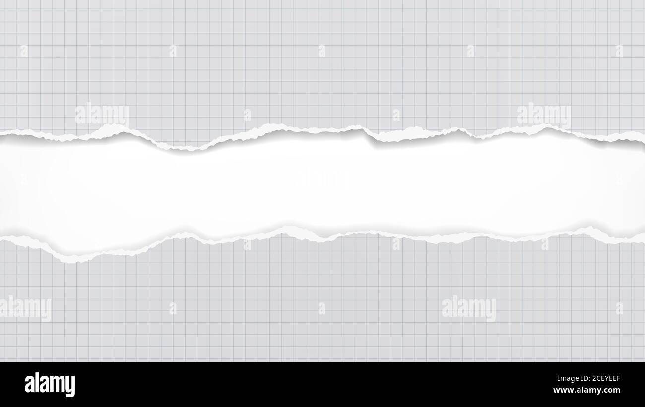 White Line Subtle Paper Ripped Piece of torn, ripped white and lined note, notebook paper with soft ...