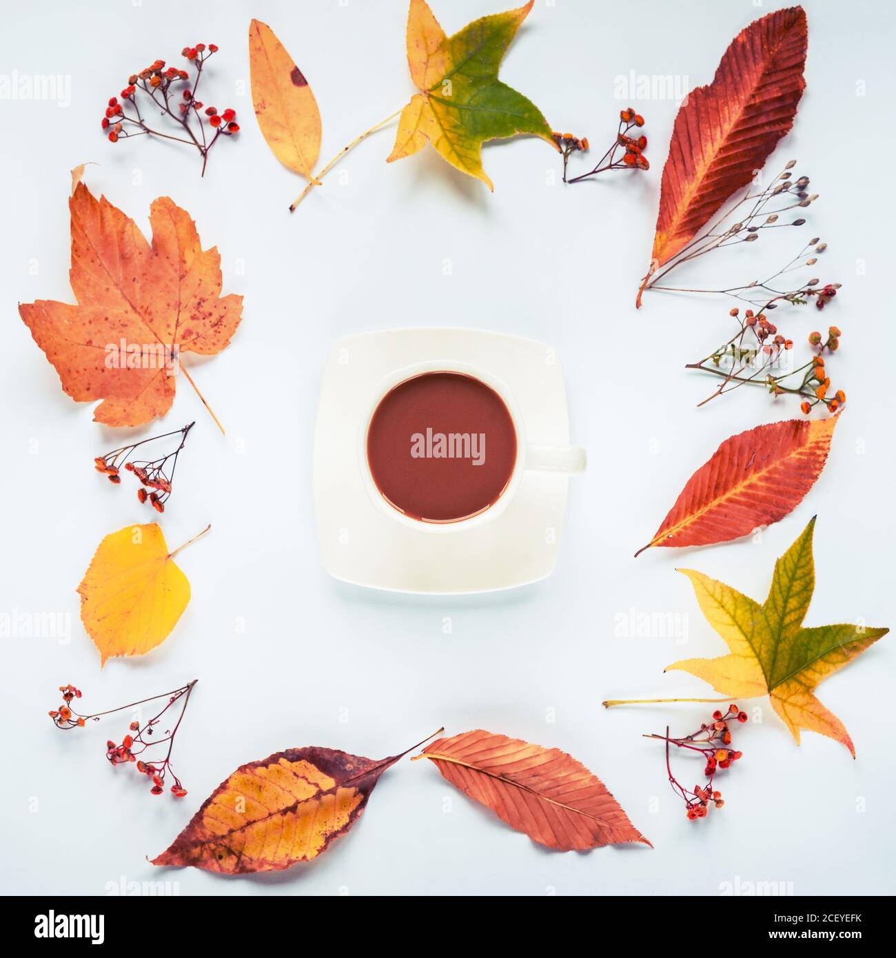 Frame made of yellow leaves and dried flowers, a cup of coffee in the center, white background. Autumn concept. Top view, flat lay. Stock Photo