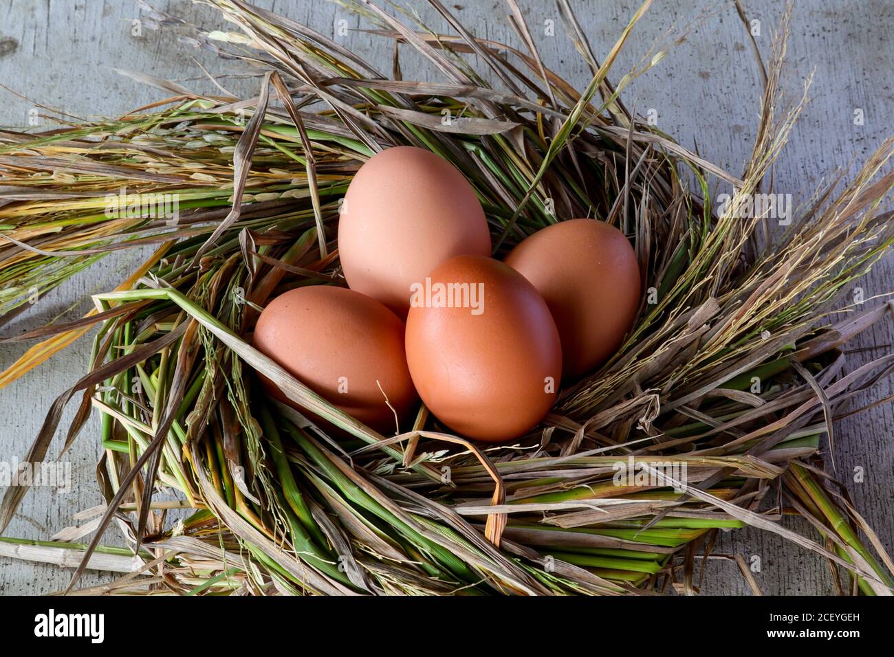 chicken eggs on a rice straw nest Stock Photo - Alamy
