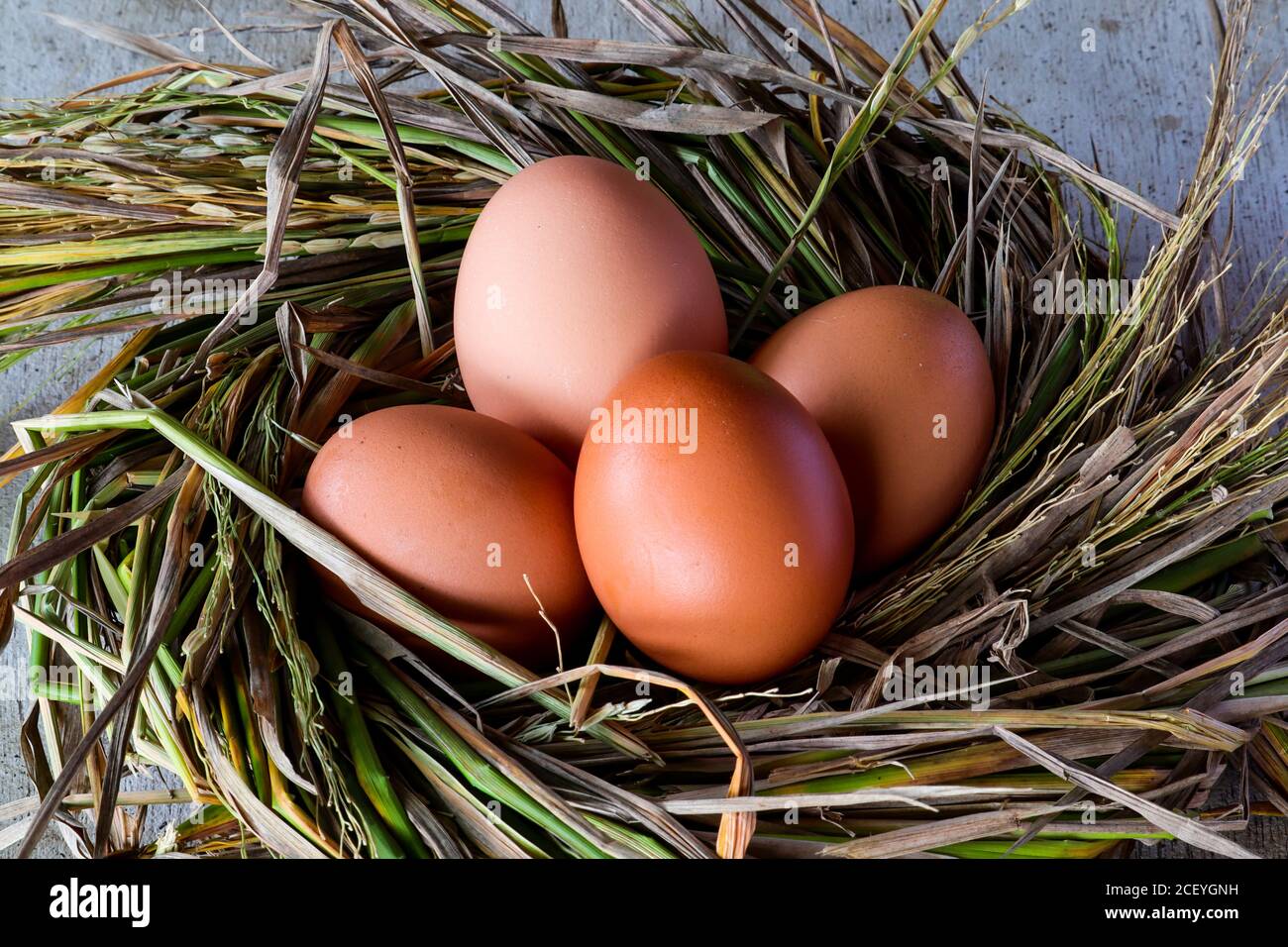 chicken eggs on a rice straw nest Stock Photo - Alamy