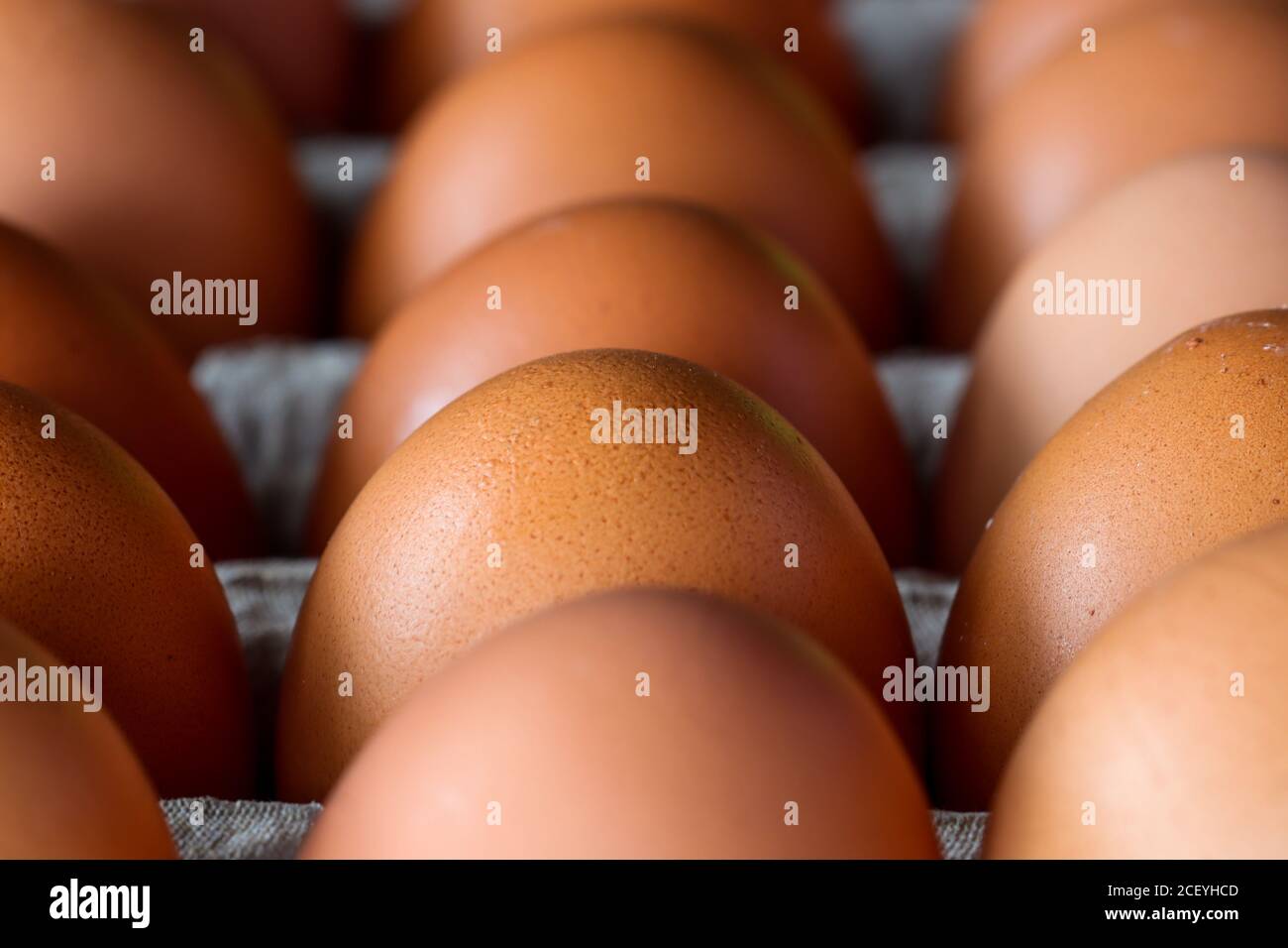 Chicken eggs with brown skin neatly arranged Stock Photo