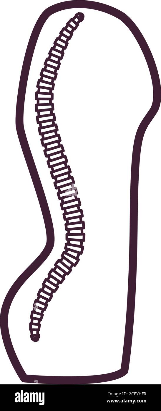 spine line style icon design, Human body person people health anatomy ...