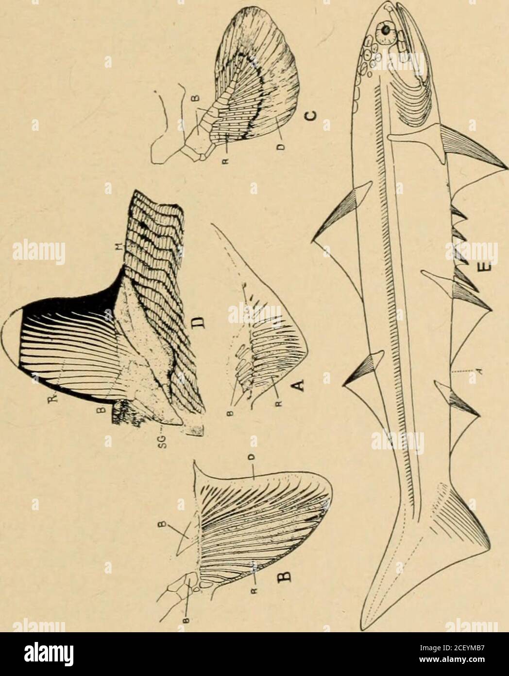 Page 2 Ta Cu High Resolution Stock Photography And Images Alamy