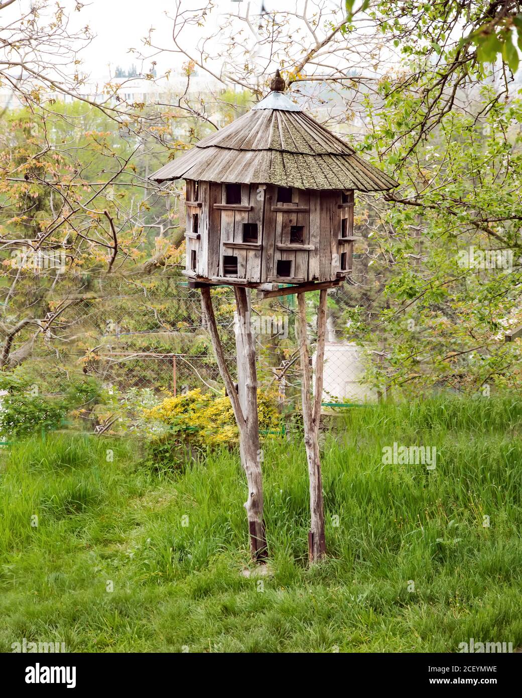 2 BLUEBIRD BIRD HOUSES NEST BOX CEDAR  PETERSON OVAL OPENING HANDMADE FREE S/H​ 