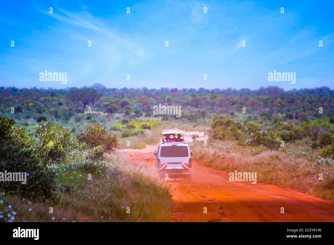 The car is driving on a dirt road in Tsavo National Park East Kenya. People are on a safari trip in nature. Stock Photo