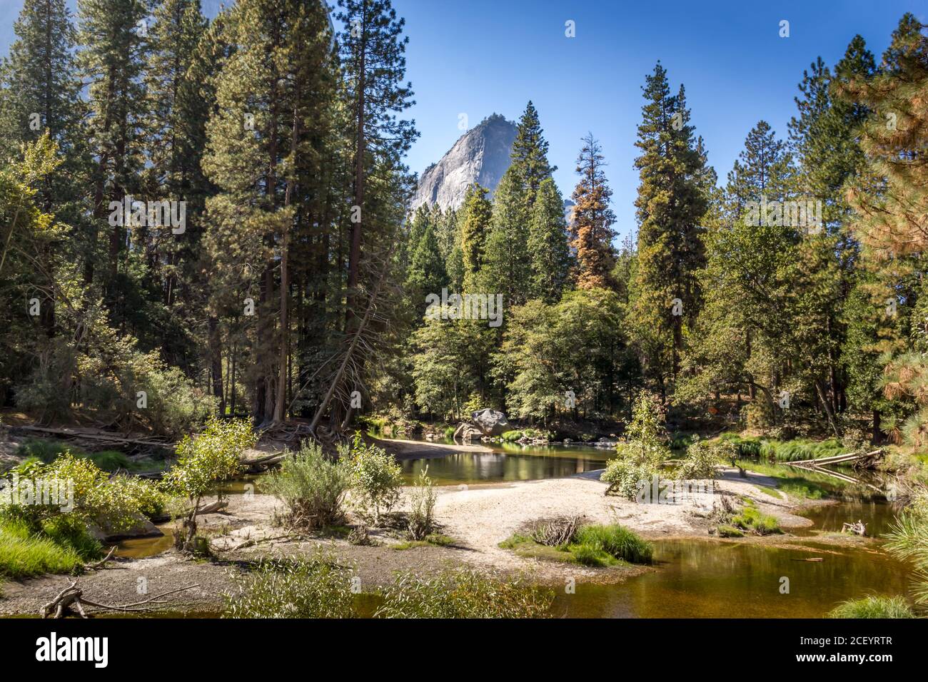 Merced river on a sunny day  in summer, Yosemite National Park, California, USA Stock Photo