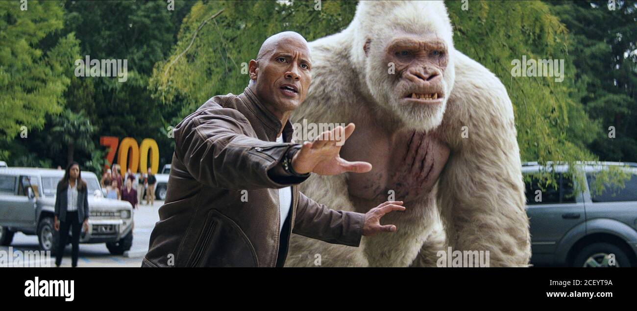 Animal Rampage High Resolution Stock Photography and Images - Alamy