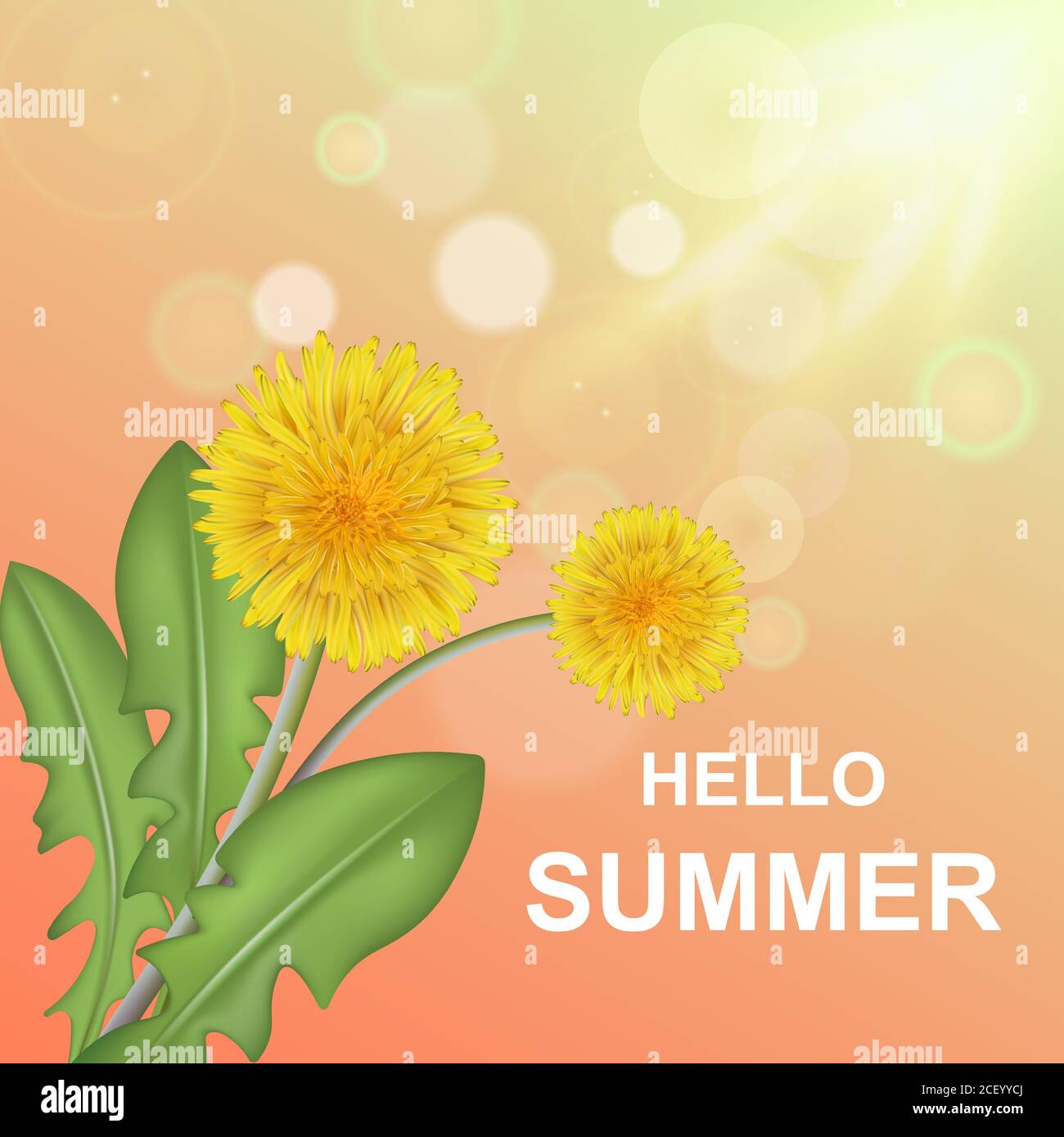 Hi summer. Dandelion flower with elements of side and sunflower rays.Background of the hot season.Vector realistic illustration. Stock Vector