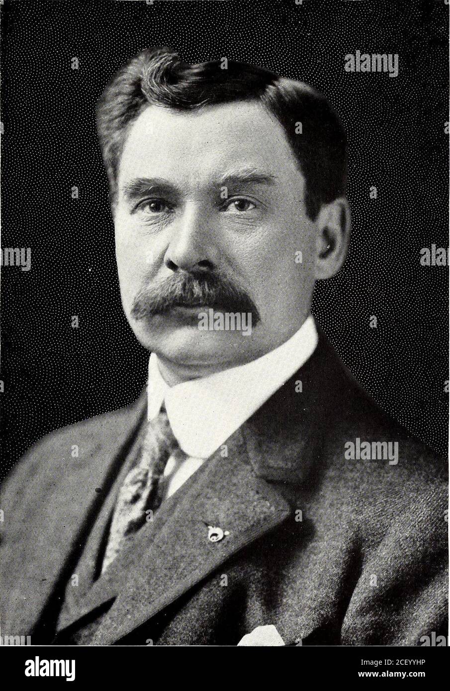 . Notable men of Illinois & their state. systems in Chicago, this employmentbeing followed by his appointment as superintendent of the ChicagoProtective Companj^s burglar alarm system. On the date of the expiration of the fundamental patents on the tele-phone receiver, Mr. Stromberg started the development of independenttelephone apparatus. He was the controlling spirit in the organization ofthe Stromberg-Carlson Telephone Manufacturing Company. It was saidto be due to the evolution by this firm of the central energy system to com-pete with the common battery system that made the independent t Stock Photo