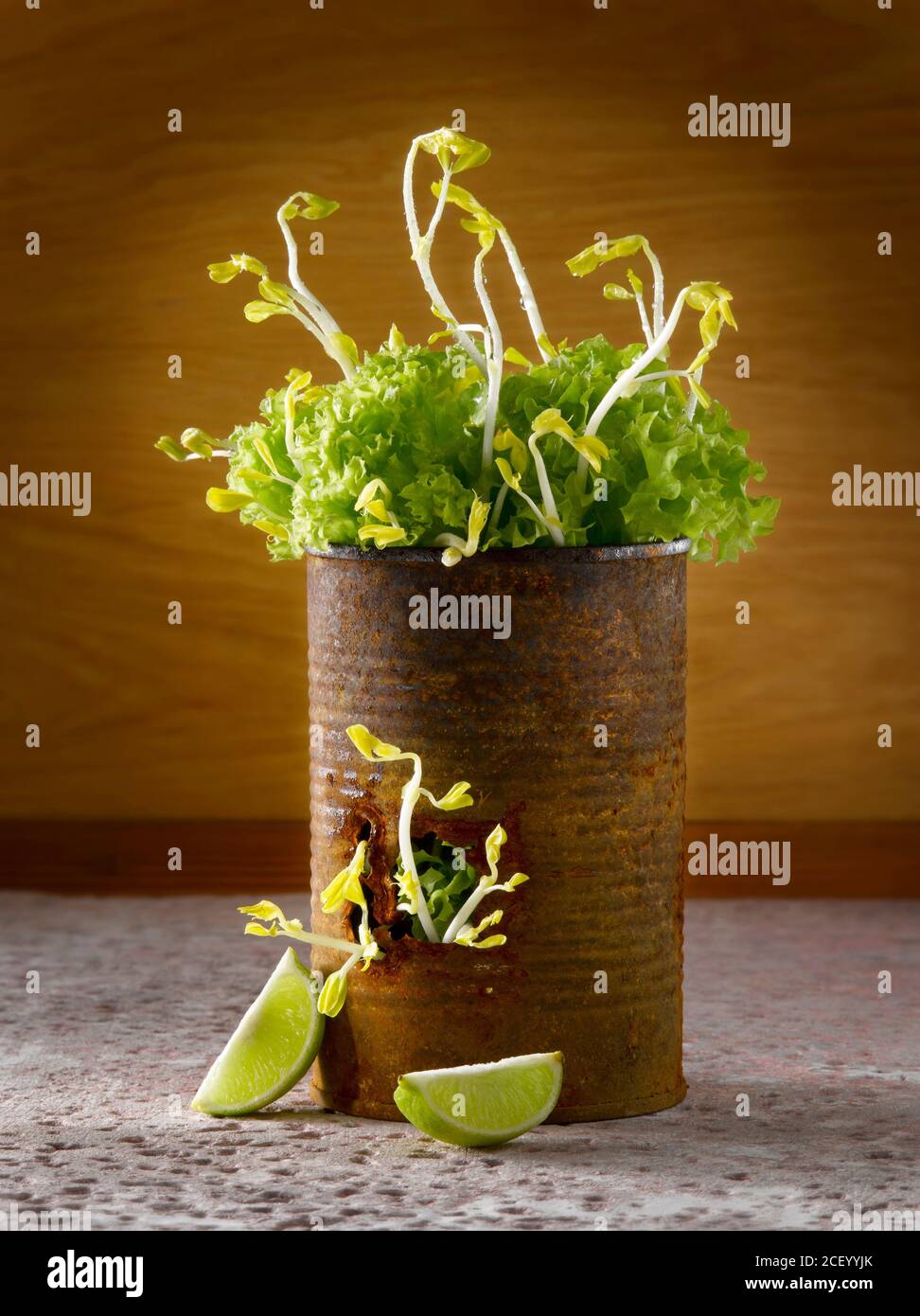 Jar with green sprouts Stock Photo
