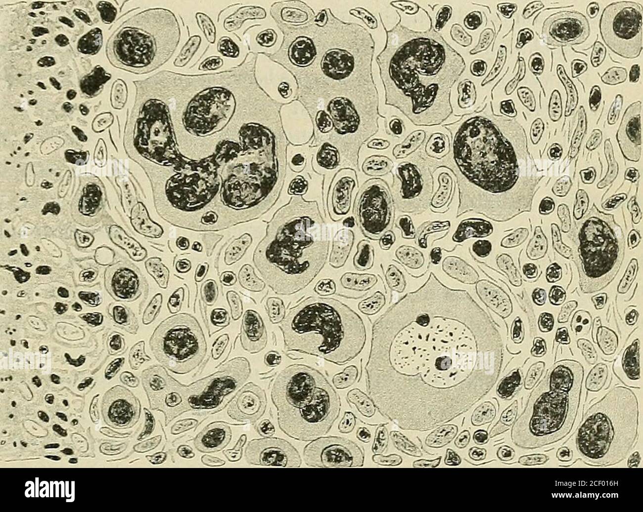 Booksubjectp High Resolution Stock Photography And Images Alamy