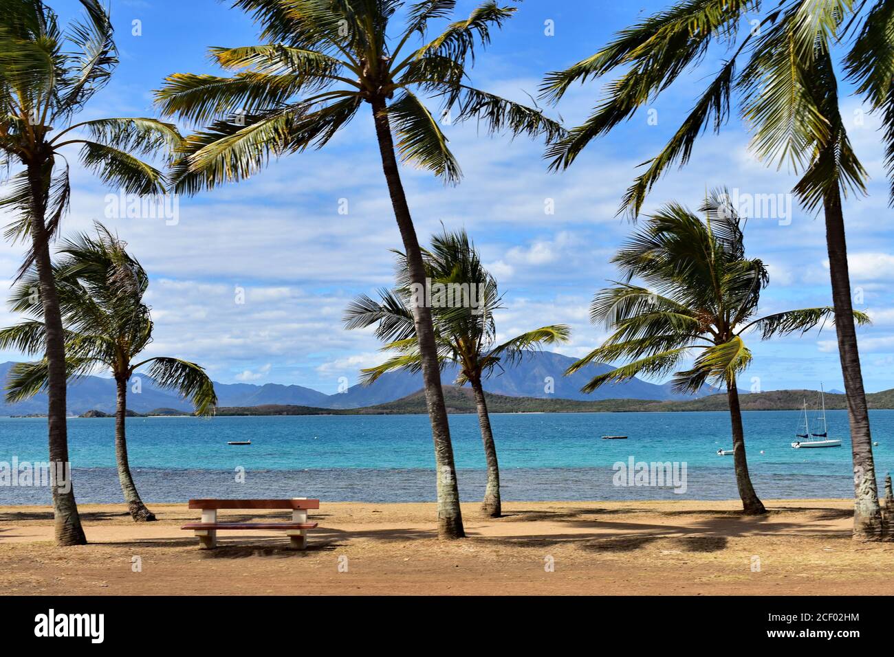 Palm trees swaying in the wind hi-res stock photography and images 