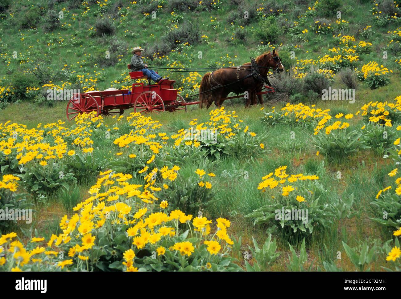 Methow wildlife area hires stock photography and images Alamy